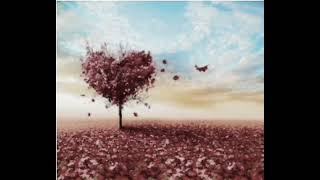 Zara Zara lyrics video|| Ami Ajo Pagol Tomar e preme