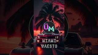 Waesto - Miami | Unlimited Music #shorts