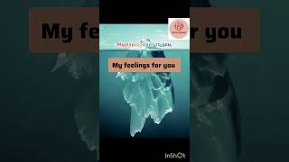 #lovequotes #viralshort #lovestatus #iloveyou #viralvideo #love4kstatus