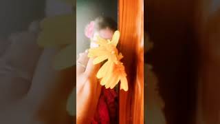 #bestfriend3song #tumibujhoniamibolini #emotional_whatsapp_status