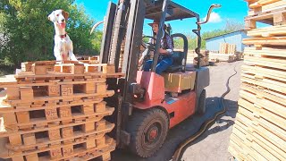 Crafting a Career: The Inspiring Story of Women in Woodworking