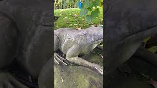 ☀️A fabulous bronze frog water feature.☀️ #frog #bronze  #Reclamation #Salvage #SalvageYard #garden