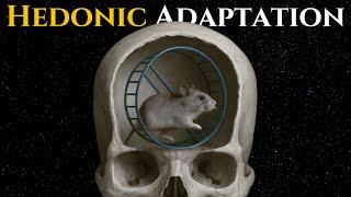 The Hedonic Treadmill | Why Your Dreams Won't Save You | Psychology for Sleep