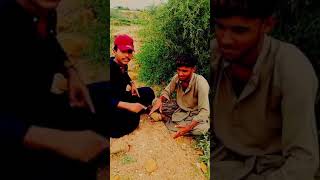 ھو ٻـ پکي پيا اڏامن Sindhi Funny