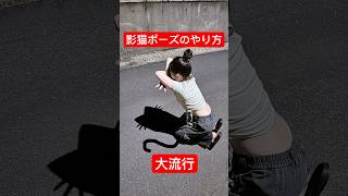大流行している影猫ポーズ写真のやり方