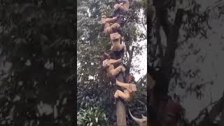 #shortsvideo #shorts