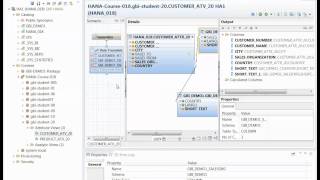 A Tour of HANA for Beginners by Dr. Berg
