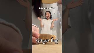Probiotics for the Gut: Ginger Bug 🫚#fermentation #guthealth #loveyourgut #gingerbug #probiotic