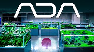 EVERY Aquarium inside the FAMOUS ADA Japan Gallery