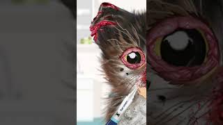 Cat makeover #ytshorts#makeover #roversmakeoverdoggrooming #petmakeover #makeovergames #dogmakeover