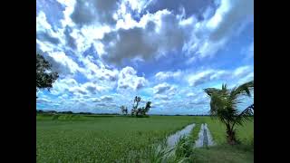 ও মন মাঝি