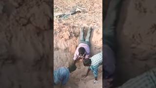 best physical school boys below 15 years 7 STAR ACADEMY 9943415471#physical #trg # viral video
