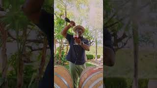 Best Wine Tastings in Temecula Valley