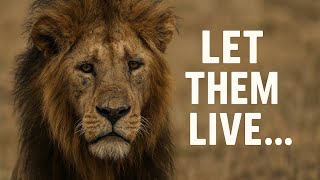 The Tears of Animals #animalstory #animalrescue #cinematicstory #relax