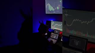trading power pro Trader Trip dollar 💰#quotextrading #binaryoptions