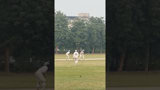 いいショットだったよ🏏🏏👌 #aounabbascricketgallery #cricketmatch #cricketlovers