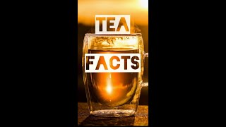 Tea Facts #shorts