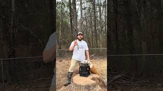 Here’s how we keep our free range chickens safe from hawks and other aerial predators #homestead