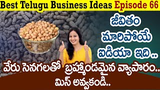 Penut | Penut  Farming | Penut Farming In Telugu  #telugubusinessideas | Episode 66
