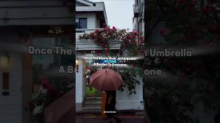 Once rain stop umbrella become..... #mindsetmatters #positivevibes #selflove #lifegoals #lifelessons