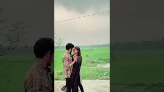 romantic love bird