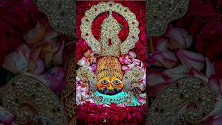 tu satsang mein Ayaa kar 🥹🤗🌸🙏🏻#khatushyambhajan #youtubeshorts #trending #shorts#viral #bhakti