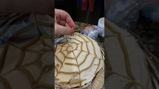 Rumchata cake final touches