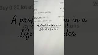 A Day in Life of a Trader #dayinlifeofaforextrader #crypto #trading #adayinalifeofatrader