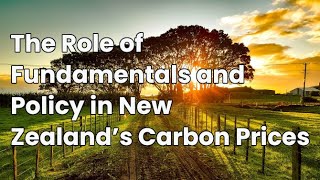 The Role of Fundamentals and Policy in New Zealand's Carbon Prices