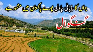 Undiscovered Gangwal Valley in Battagram Allai (4K) · Real Beauty Of Pakistan