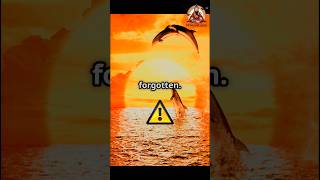 Shocking Truth Behind Japan's Dolphin Massacre | Taiji Exposed? #amazingsfacts #trending #japan