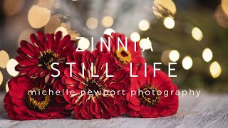Zinnia Still Life | Flower Photography Edit | Photoshop Edit | Luminar Edit | Color Efex Pro 4
