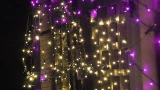 Minnesota Landscape Arboretum