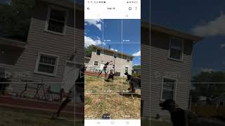 Throwback Thursday here at Pet Paradise 🐶🏝️ #ThrowbackThursday #PetParadise #PuppyLove #CutePets