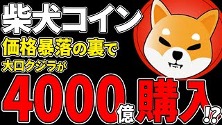 【柴犬コイン(SHIB)】価格暴落の裏で大口クジラが4000億トークン大量購入！今後価格が上昇する根拠を解説【仮想通貨】