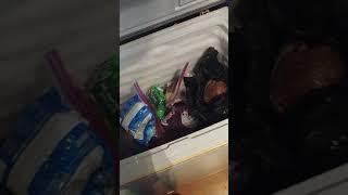 Food from the trap line