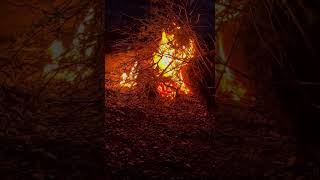 #bonfirevibes