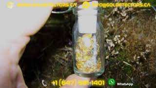 Detecting Native Gold with The Best Selling 3D Ground Scanner OKM Rover C4