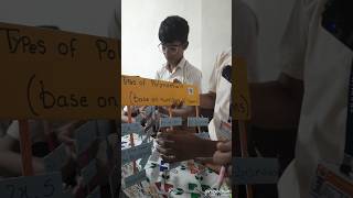 Polynomial maths project std 8 #school # maths working model #education