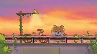 sunset vibes 🌄 chill lofi hip hop mix