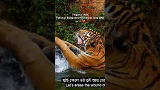 Paigam e Ulfat (pakistan Bangladesh friendship song 2025) #newbangladeshisong #pakistanbangladesh