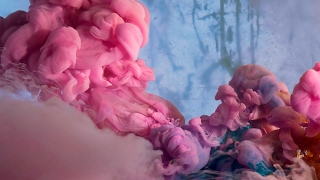 Artsy Live Stream