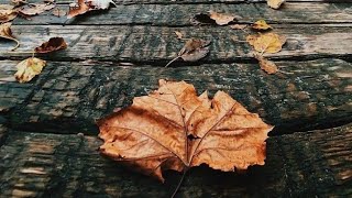 Assamese poem..🌼... Nitul Nath & Bidisha..♥️