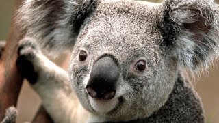 Bye Bye Yesterday [Expert] (Gero)