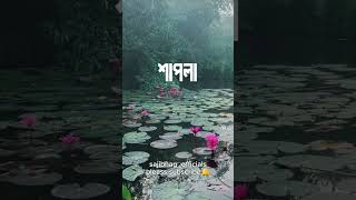 Tumi Sutoy Bedhecho | তুমি সুতোয় বেঁধেছো | Subir Nandi | sajibnag_officials