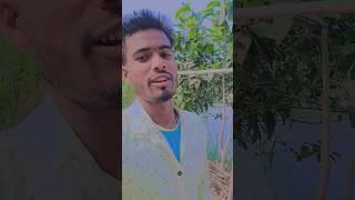 #সিলেটি_dj #বিয়ের_গীত_গান_dj_di_বিয়ের_গীত #amai_bhule_jodi_shukhe_thako #dj #বিয়ের_