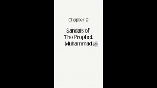 Graceful Glimpses - Essence of the Shama'il.mp4