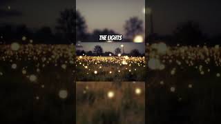 Fireflies are going extinct — and light pollution is to blame #science #facts