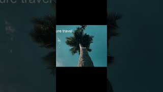 🌿✨ "Wander Through Nature’s Lens" 🌄#NatureTravel 🎥 #CinematicVibes  #TravelInFrames #EpicNatureShots