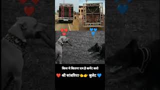 sawariya dj sound vs bullet dj sound #trending #dj